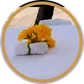 SXM Mobile Spa logo